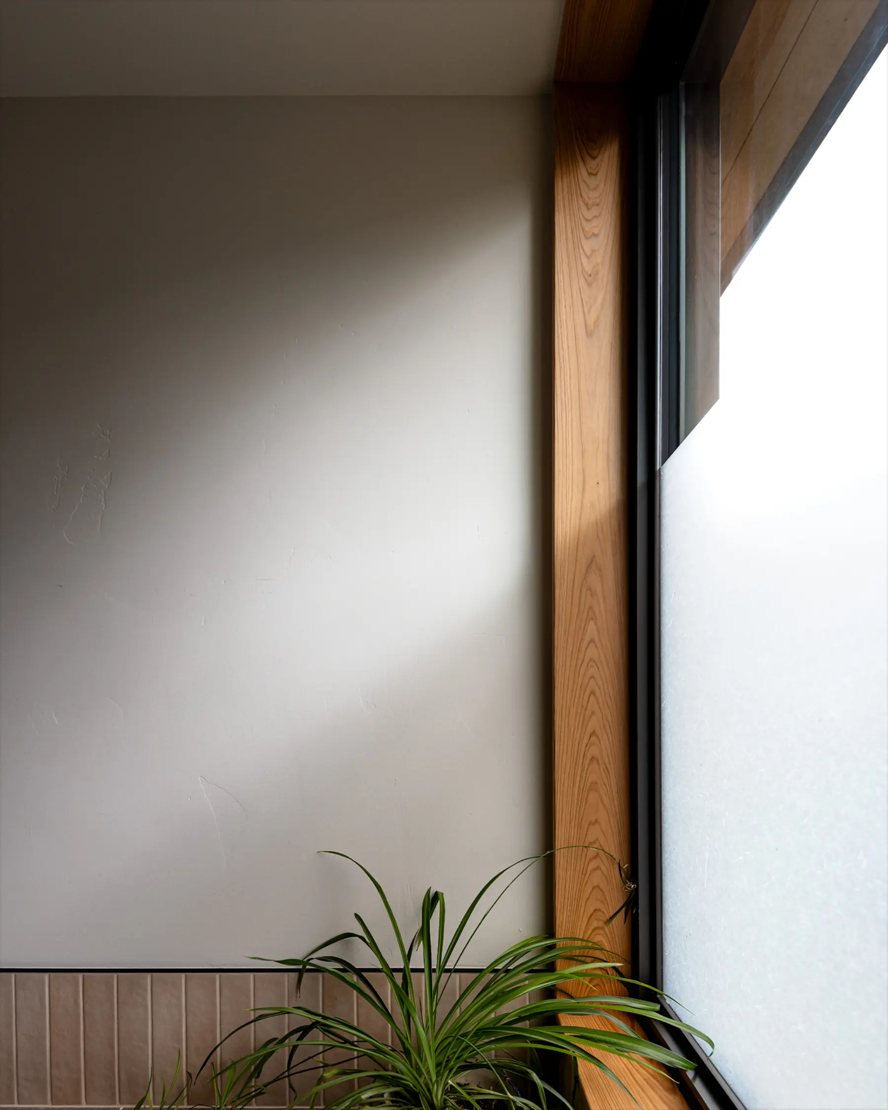 Healthy Homes Architecture Services Denver CO