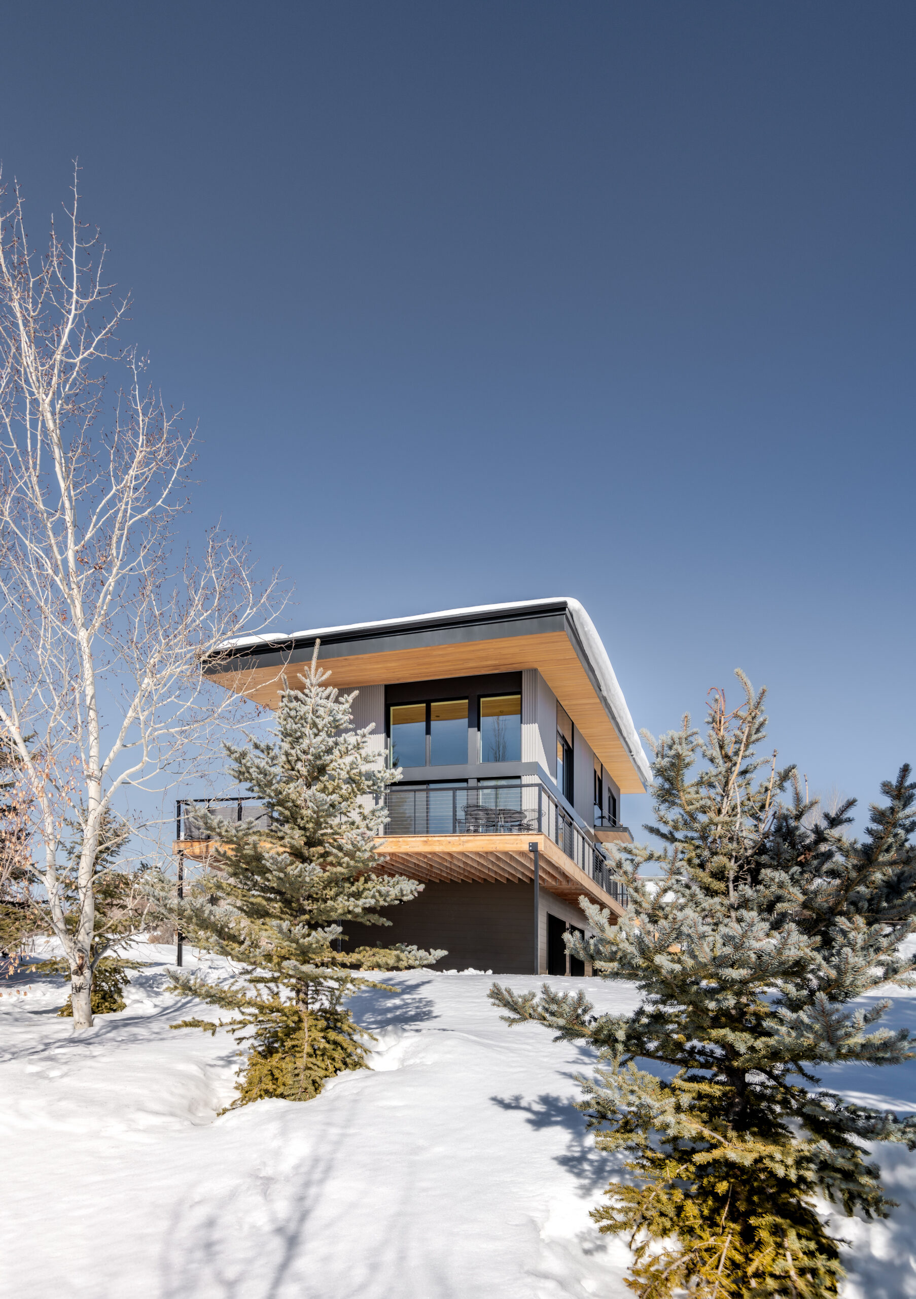 Steamboat Watchtower Architecture Project