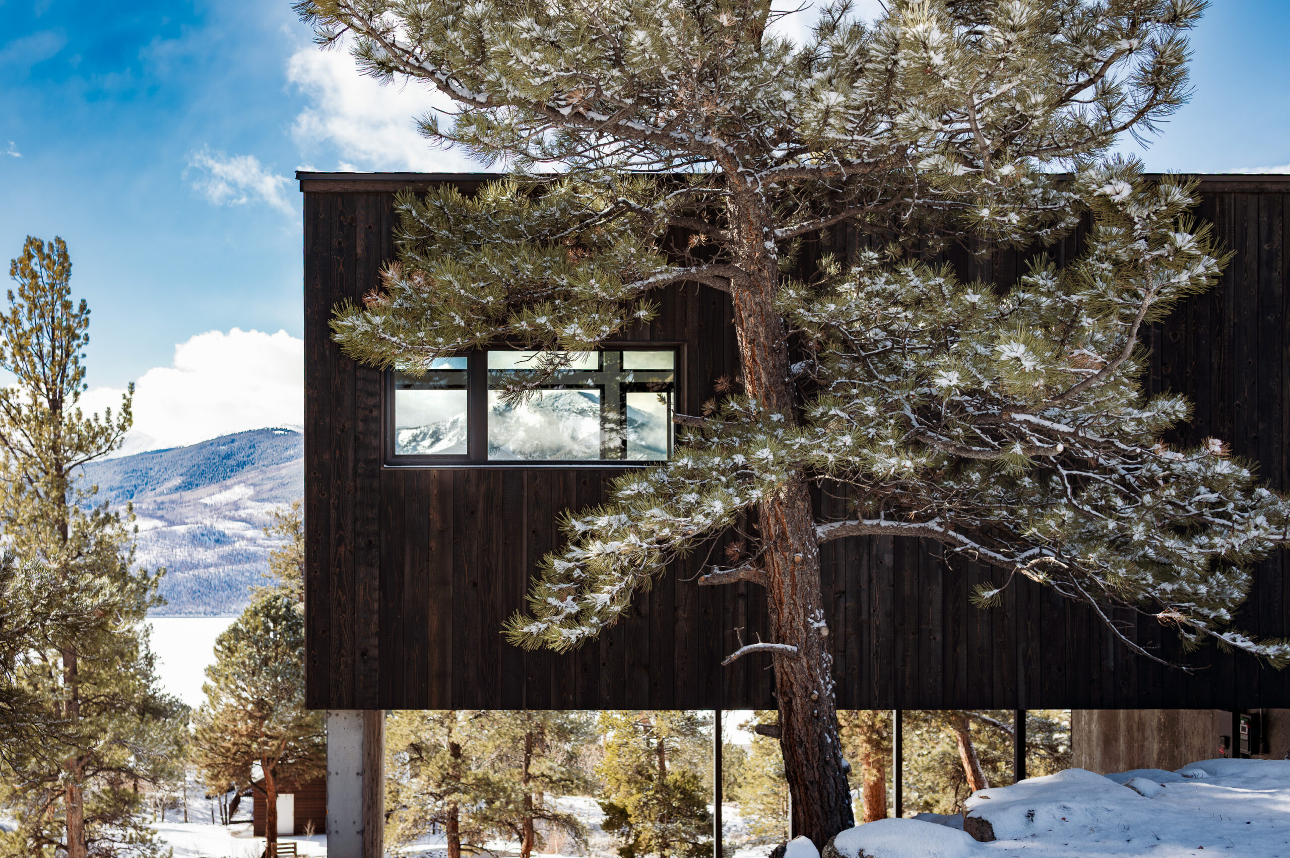 Architecture Contractor Project Denver Co